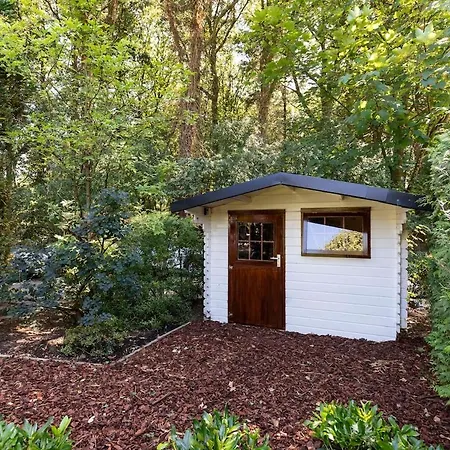 Chalet Gezellig Op En Goed Onderhouden Park